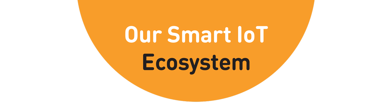 Our Smart IoT Ecosystem
