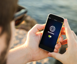 Data Roaming Cap & Alert